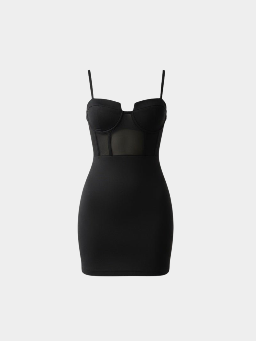 Women’s Mini Dress with Sheer Panel Detail